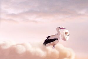 birth, baby, stork-961805.jpg
